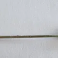 Cone cho Blowgun-Dart (parametric) - Thumbnail 2