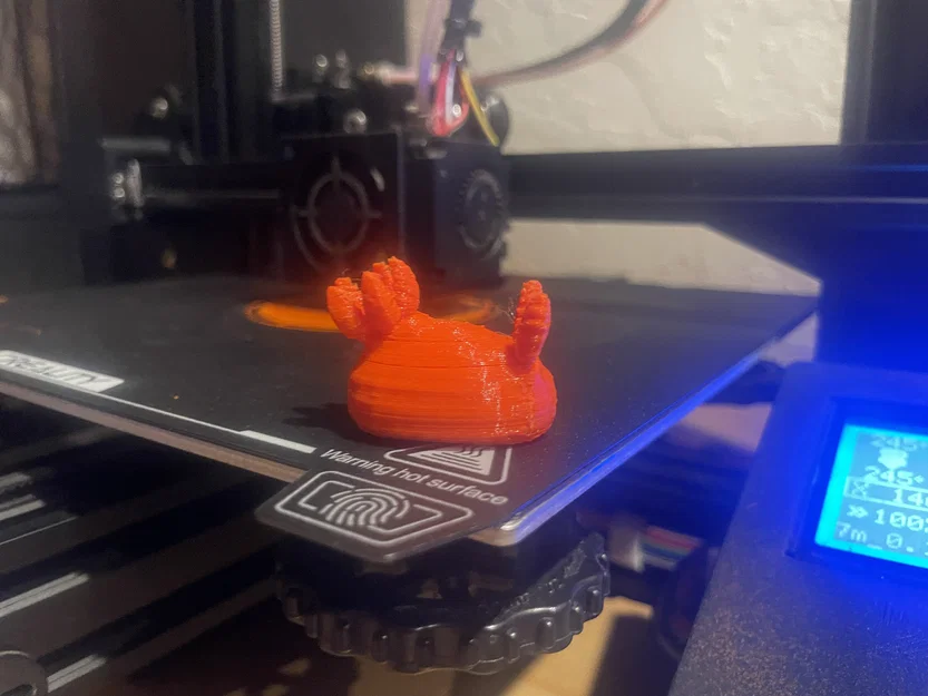 Mô hình Nudibranch (Thỏ biển) siêu dễ thương cho máy in 3D - Image 1