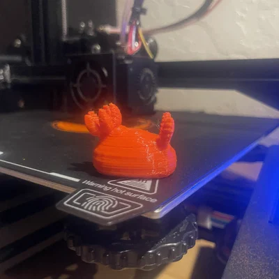 Mô hình Nudibranch (Thỏ biển) siêu dễ thương cho máy in 3D