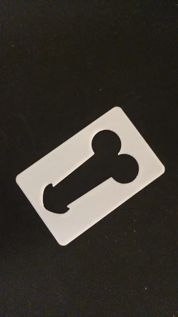 Template “Dick” (định dạng thẻ tín dụng) - Image 1