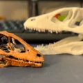 Mô hình hộp sọ khủng long Deinonychus in 3D cực chi tiết - Thumbnail 1