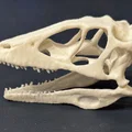 Mô hình hộp sọ khủng long Deinonychus in 3D cực chi tiết - Thumbnail 2