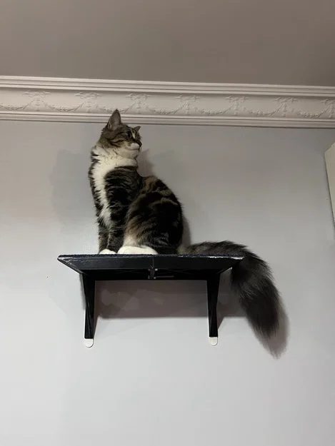 Catto Shelf Cat Shelf - Image 1