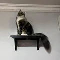 Catto Shelf Cat Shelf - Thumbnail 1