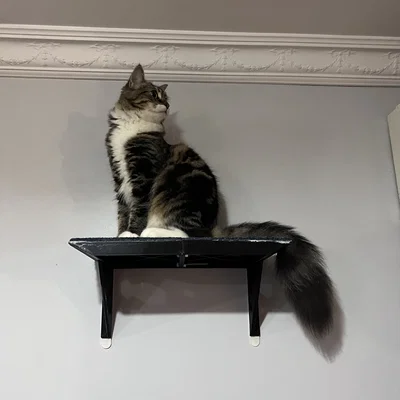 Catto Shelf Cat Shelf