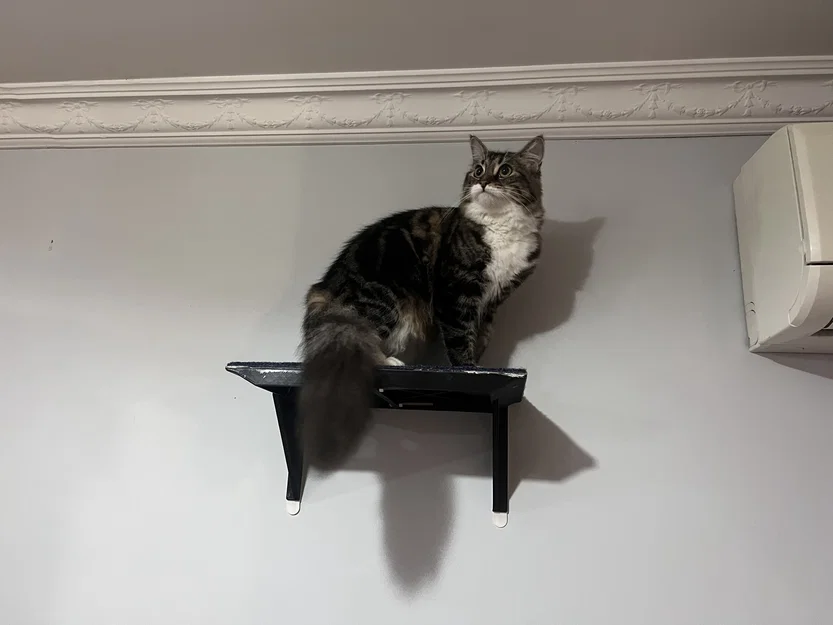 Catto Shelf Cat Shelf - Image 2