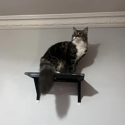 Catto Shelf Cat Shelf
