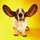 KodyPhelps_16963