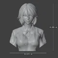 Mô hình tượng bán thân nhân vật nữ (Bust Lady 01) cho in 3D - Thumbnail 6