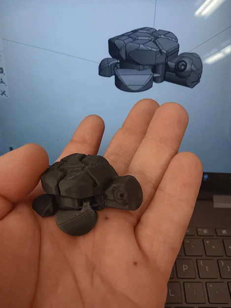 Rùa Khớp Nối (Articulated Turtle - BDias) - Image 1