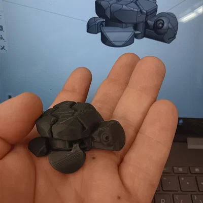 Rùa Khớp Nối (Articulated Turtle - BDias)