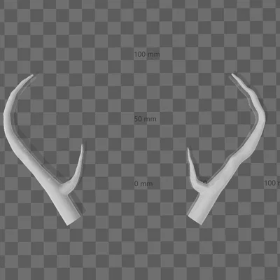 Mô hình cặp gạc hươu nhỏ (Small Deer Antlers) cho trang trí 3D