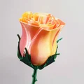 Mẫu hoa hồng in 3D nghệ thuật: Hướng dẫn in ấn chi tiết - Thumbnail 4