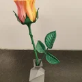 Mẫu hoa hồng in 3D nghệ thuật: Hướng dẫn in ấn chi tiết - Thumbnail 5