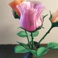 Mẫu hoa hồng in 3D nghệ thuật: Hướng dẫn in ấn chi tiết - Thumbnail 7