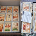 Caverna - Organizer (kèm expansion Forgotten Folk) - Thumbnail 17