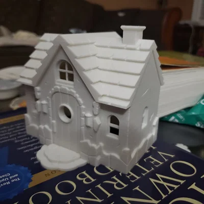 Ngôi nhà người chơi Animal Crossing: New Horizons