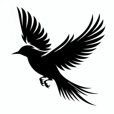 Stencil: Tự do như cánh chim