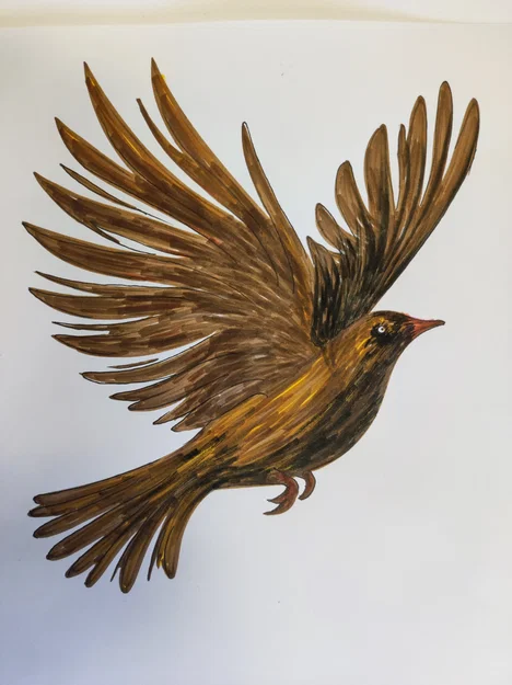 Stencil: Tự do như cánh chim - Image 17