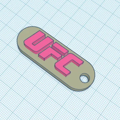 Móc khóa UFC (UFC Keychain)