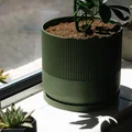 Chậu cây Mid-Century Modern có lỗ thoát nước, khay hứng, nhiều kích cỡ - Thumbnail 4