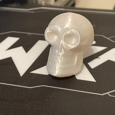 Mô hình đầu lâu nhỏ (Small Skull) trang trí bàn làm việc