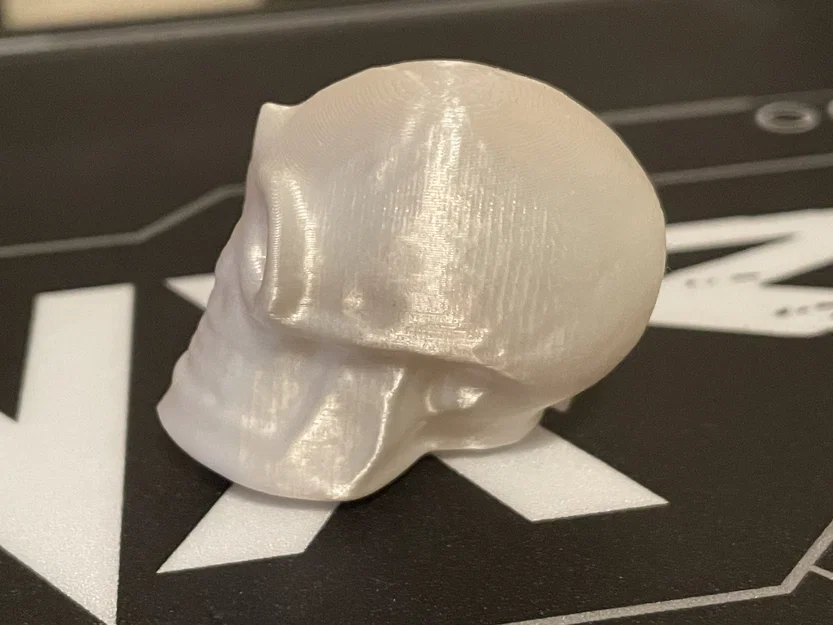 Mô hình đầu lâu nhỏ (Small Skull) trang trí bàn làm việc - Image 2