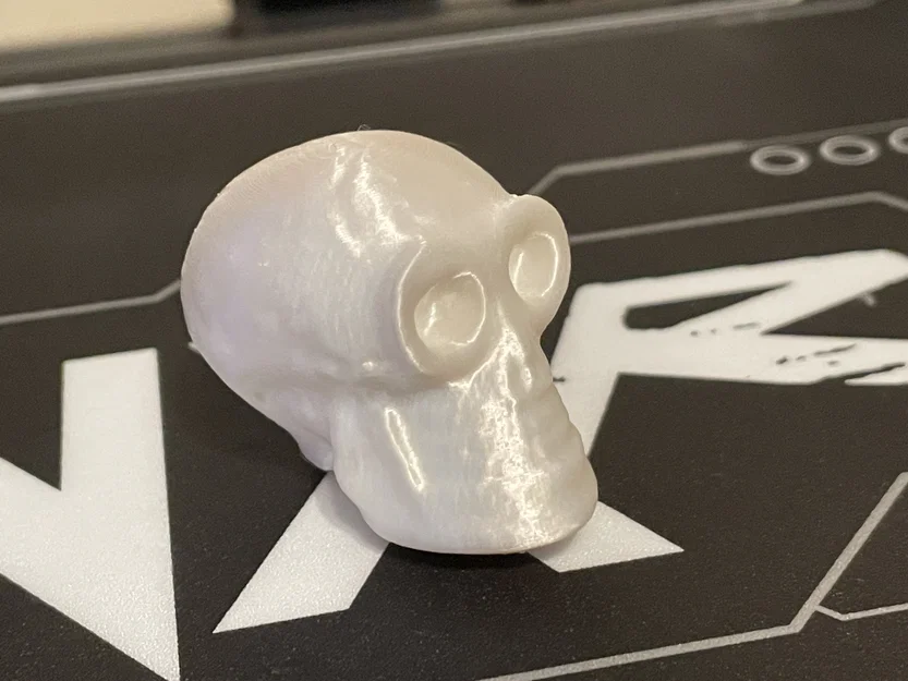 Mô hình đầu lâu nhỏ (Small Skull) trang trí bàn làm việc - Image 3