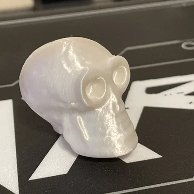 Mô hình đầu lâu nhỏ (Small Skull) trang trí bàn làm việc
