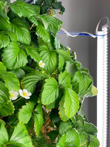 Tháp Trồng Cây Thủy Canh Module kèm Đèn LED Phát Triển - Image 3