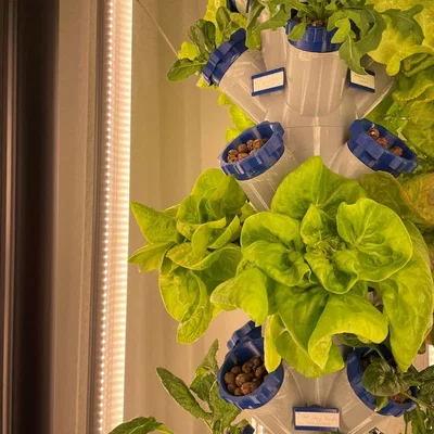 Tháp Trồng Cây Thủy Canh Module kèm Đèn LED Phát Triển