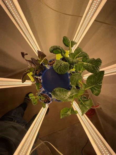 Tháp Trồng Cây Thủy Canh Module kèm Đèn LED Phát Triển - Image 6