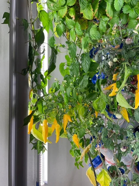 Tháp Trồng Cây Thủy Canh Module kèm Đèn LED Phát Triển - Image 10