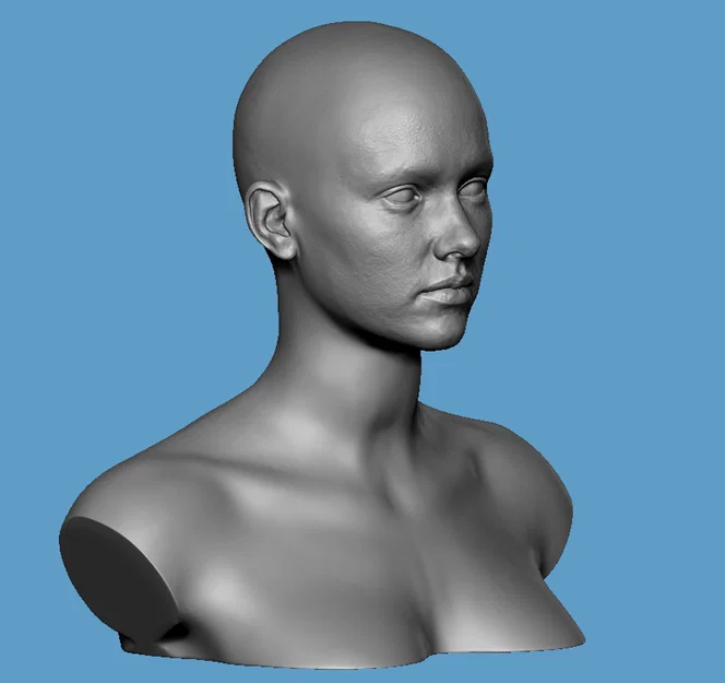 Bộ mô hình 3D đầu nữ chân thực Realistic Heroic Female Basemesh - Image 3