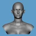 Bộ mô hình 3D đầu nữ chân thực Realistic Heroic Female Basemesh - Thumbnail 6