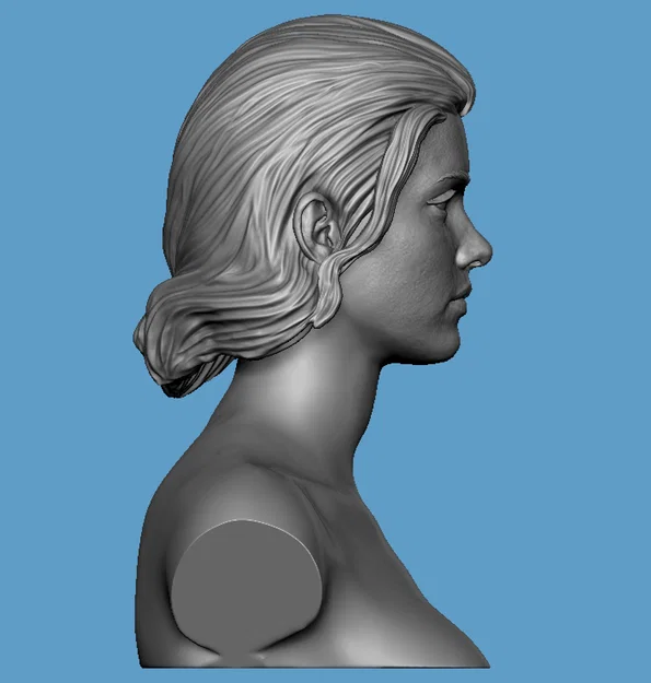 Bộ mô hình 3D đầu nữ chân thực Realistic Heroic Female Basemesh - Image 7