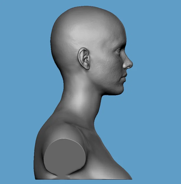 Bộ mô hình 3D đầu nữ chân thực Realistic Heroic Female Basemesh - Image 8