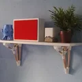 Tay Đỡ Kệ Tham Số (Parametric Shelf Brackets) - Thumbnail 6