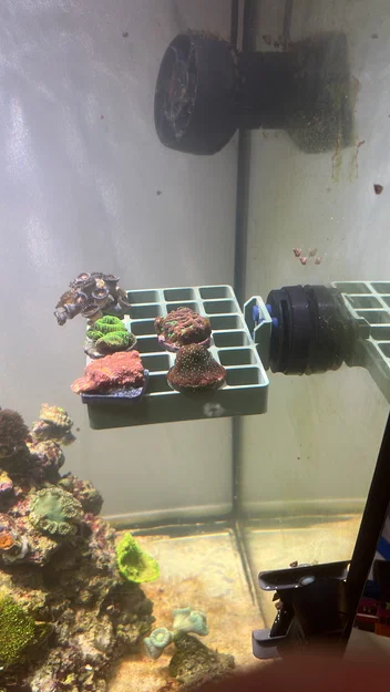 Giá đỡ lưới coral frag cho Tunze magnet - Image 1
