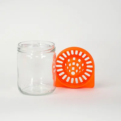 In 3D bẫy bắt ong vò vẽ châu Á