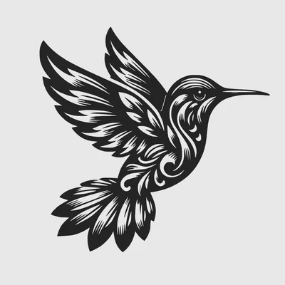 Mô hình chim ruồi 3D (Hummingbird) trang trí tường tinh tế