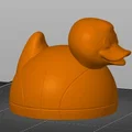 Mô hình 3D chú vịt bóng rổ (Basketball Duck) siêu dễ thương - Thumbnail 1
