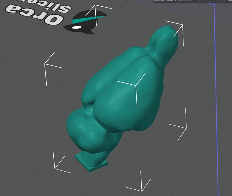 Mô hình 3D bộ não chuột (Rat brain) chất lượng cao cho nghiên cứu - Image 1
