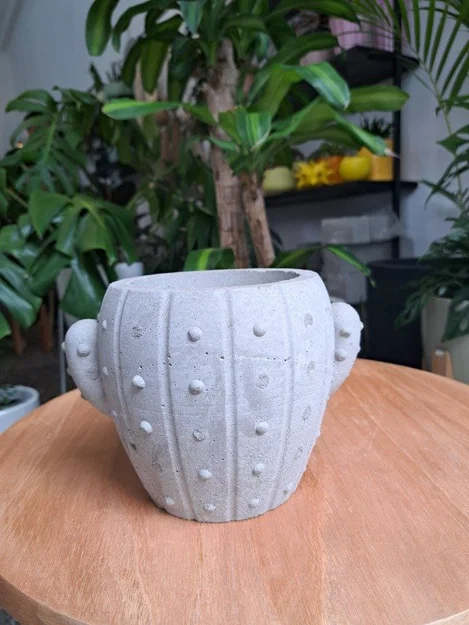 Khuôn đúc chậu cây hình xương rồng độc đáo - Tự làm chậu cảnh tại nhà - Image 1