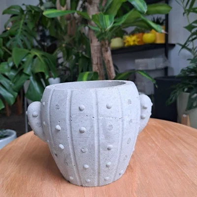 Khuôn đúc chậu cây hình xương rồng độc đáo - Tự làm chậu cảnh tại nhà