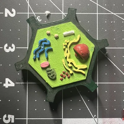 Mô hình tế bào thực vật 3D (Plant Cell) hỗ trợ học tập