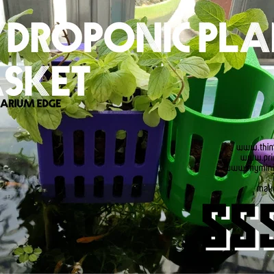 Giỏ Trồng Cây Thủy Canh (Hydroponic Plant Basket)