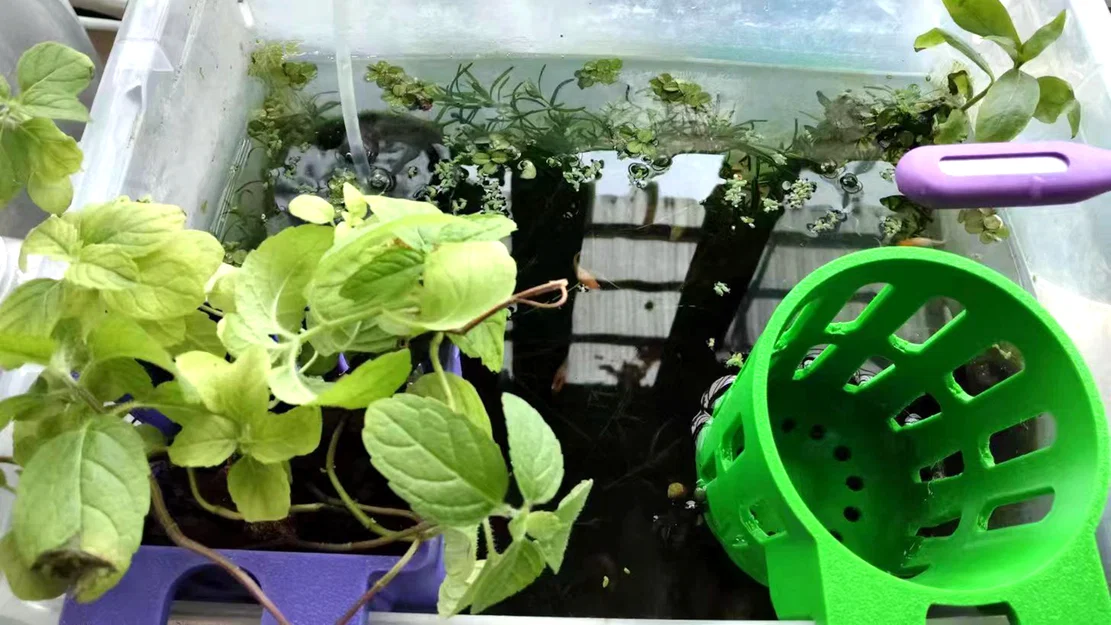 Giỏ Trồng Cây Thủy Canh (Hydroponic Plant Basket) - Image 2