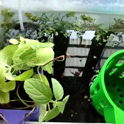 Giỏ Trồng Cây Thủy Canh (Hydroponic Plant Basket)