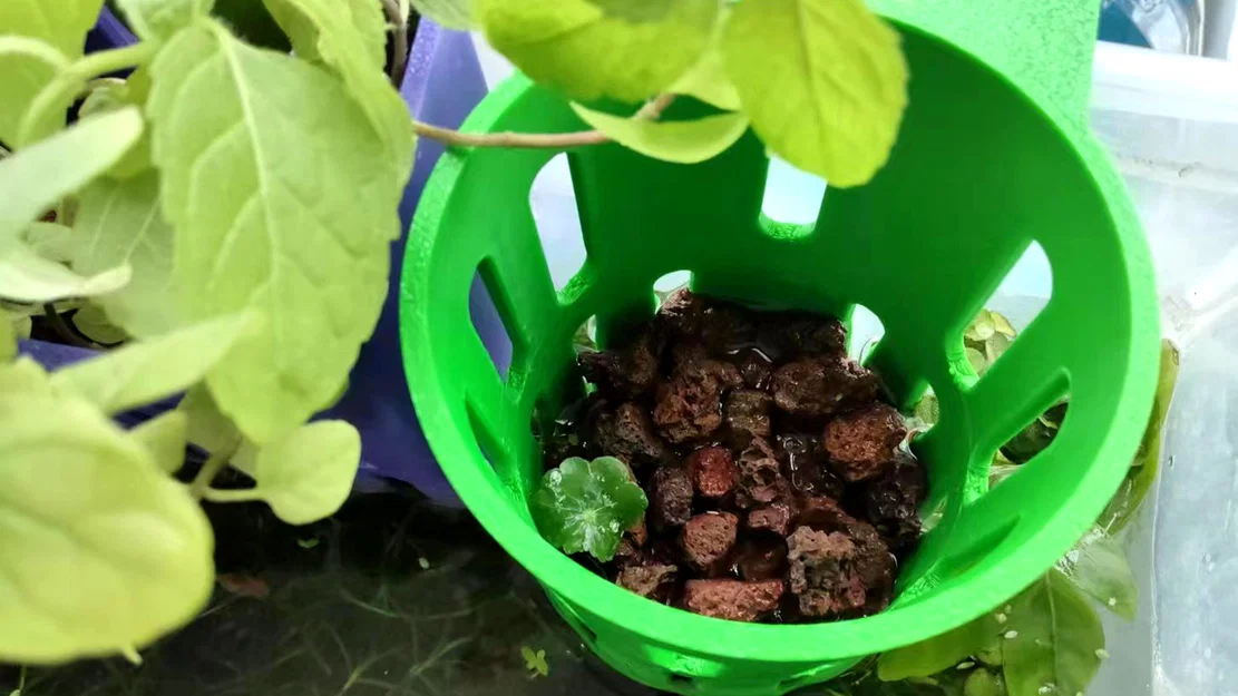 Giỏ Trồng Cây Thủy Canh (Hydroponic Plant Basket) - Image 4